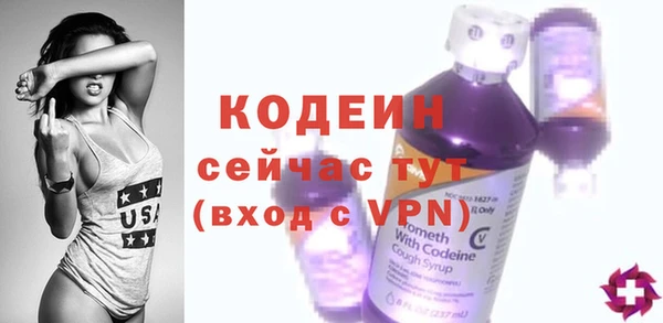 хмурый Магас