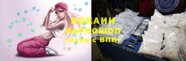 хмурый Магас