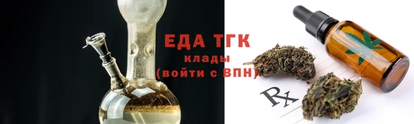 хмурый Магас