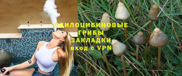 хмурый Магас