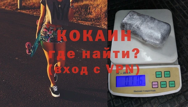 хмурый Магас
