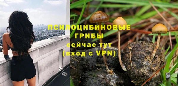 мдпв Магадан