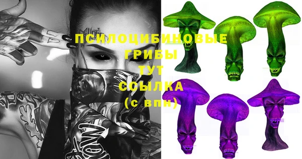 хмурый Магас