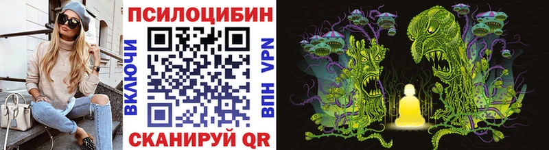 Псилоцибиновые грибы MAGIC MUSHROOMS  где купить наркоту  Красновишерск 